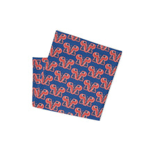 Load image into Gallery viewer, Mountain View Gaiter