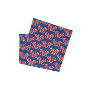 Mountain View Gaiter